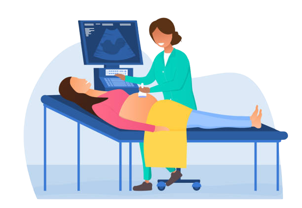 Gender Scan Dr. Sara